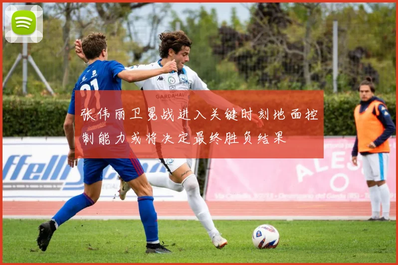张伟丽卫冕战进入关键时刻地面控制能力或将决定最终胜负结果